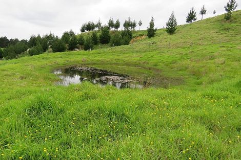 Photo of property in 289 Franklin Road, Paparoa, 0571