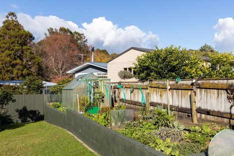 Photo of property in 28 Elizabeth Place, Ferndale, New Plymouth, 4310