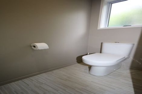 Photo of property in 22 Mcfetridge Lane, Ohauiti, Tauranga, 3112