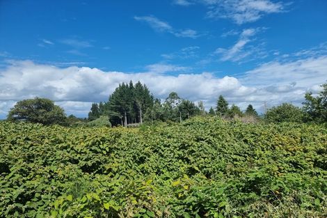 Photo of property in 48 Clifford Street, Blackball, 7804