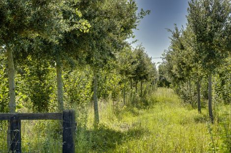 Photo of property in 1778 Pakowhai Road, Pakowhai, Napier, 4183