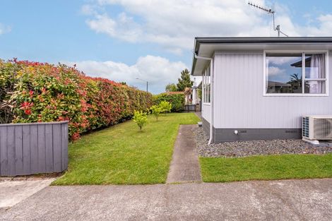 Photo of property in 42 Plunket Street, Tamatea, Napier, 4112