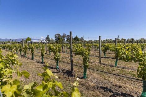 Photo of property in 90 Jeffries Road, Rapaura, Blenheim, 7273