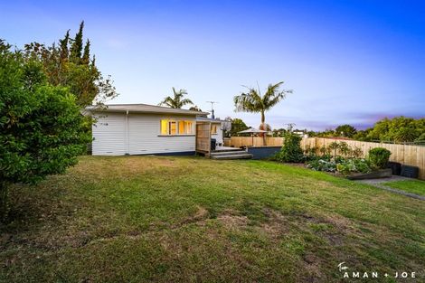 Photo of property in 106 Seabrook Avenue, New Lynn, Auckland, 0600