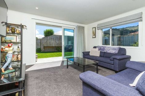 Photo of property in 17 Sabine Drive, Richmond, 7020