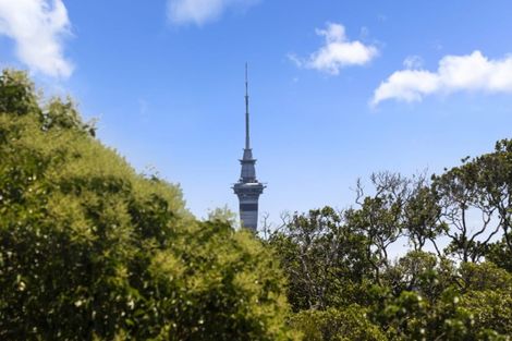 Photo of property in 9/35 Almorah Road, Epsom, Auckland, 1023