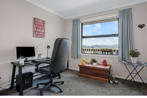 Photo of property in 169 John Burke Drive, Aotea, Porirua, 5024