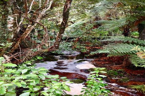 Photo of property in 4456e Karamea Highway, Karamea, 7893