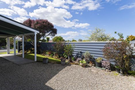 Photo of property in 48 Andrew Street, Elgin, Gisborne, 4010