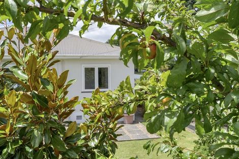 Photo of property in 58 Scott Street, Leamington, Cambridge, 3432