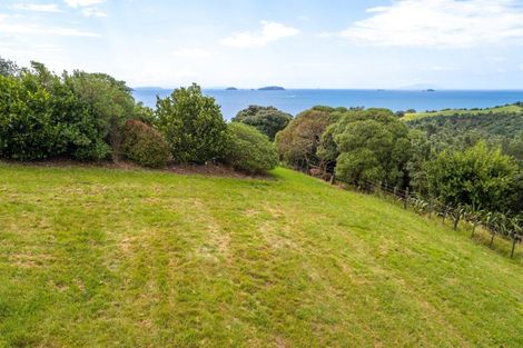 Photo of property in 155 Delamore Drive, Oneroa, Waiheke Island, 1081