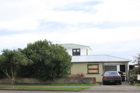 Photo of property in 81 Tiro Tiro Road, Levin, 5510
