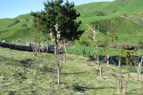 Photo of property in 8 Terrace Street, Matawai, 4075