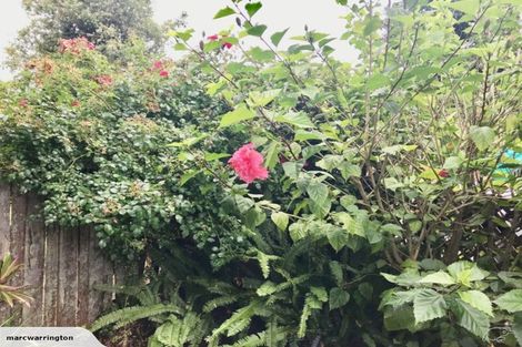 Photo of property in 5a Himalaya Crescent, Lynfield, Auckland, 1042