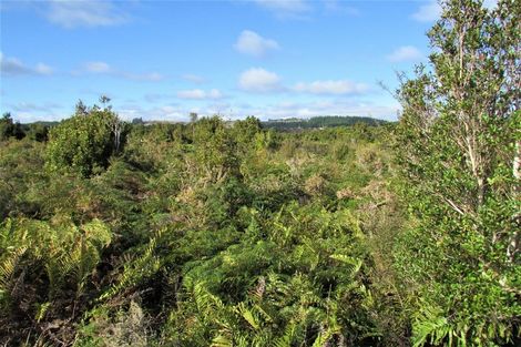Photo of property in 240 Maori Creek Road, Marsden, Greymouth, 7872