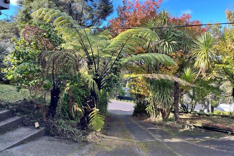 Photo of property in 84 Shetland Street, Glen Eden, Auckland, 0602