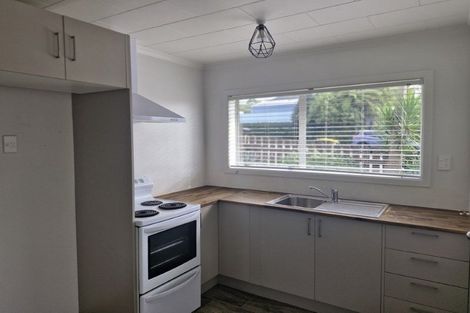 Photo of property in 1/24 Hori Street, Vogeltown, New Plymouth, 4310