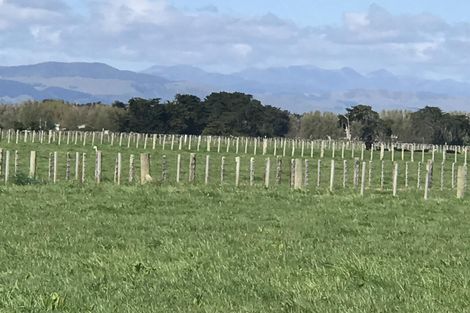 Photo of property in 30 Monrad Street, Highbury, Palmerston North, 4412