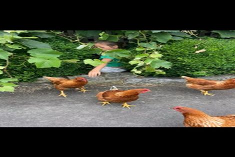 Photo of property in 33 Selbourne Avenue, Richmond, 7020