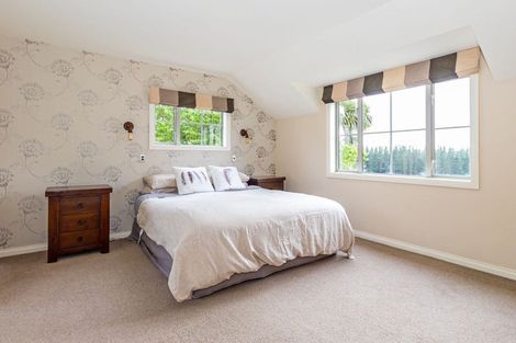 Photo of property in 224 Greenvale Road, Geraldine, 7991