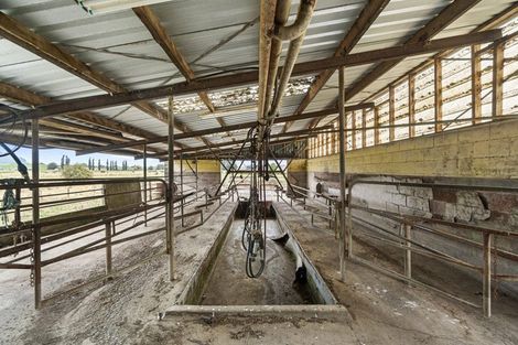 Photo of property in 80a Scotsman Valley Road, Tauwhare, Hamilton, 3287