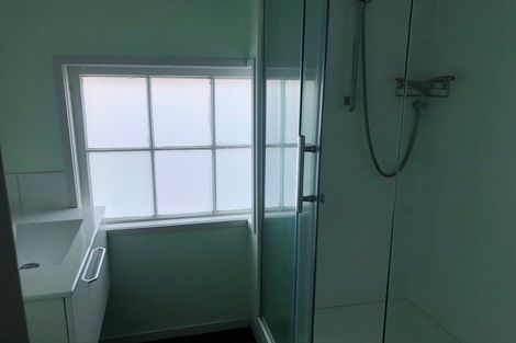 Photo of property in 127 Owen Street, Newtown, Wellington, 6021