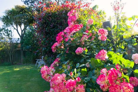 Photo of property in 283b Scarborough Street, Kaikoura, 7300