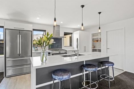 Photo of property in 10 Exeter Lane, Rolleston, 7614