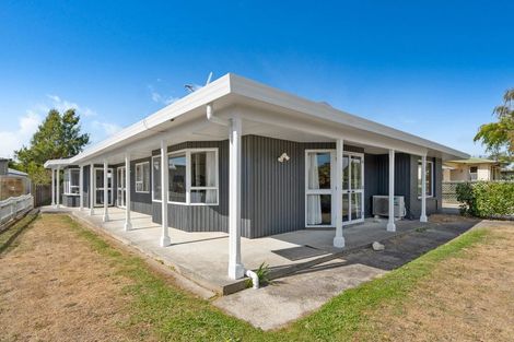 Photo of property in 67 Strasbourge Street, Martinborough, 5711