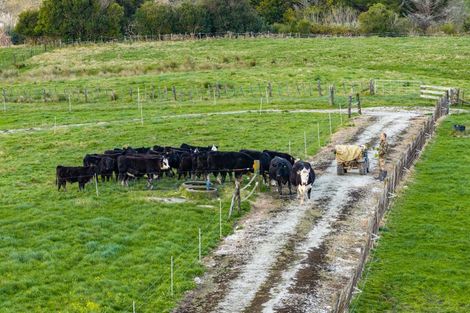 Photo of property in 272 Huarau Road, Whakapirau, Maungaturoto, 0583