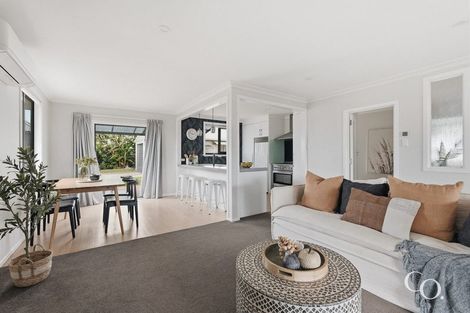 Photo of property in 13 Bristol Avenue, Brookfield, Tauranga, 3110