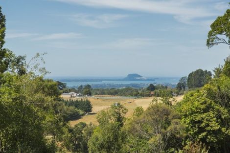 Photo of property in 303 Tim Road, Whakamarama, Tauranga, 3180