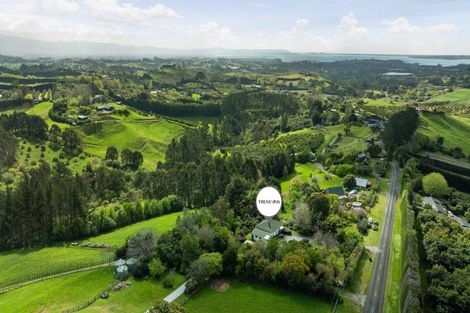 Photo of property in 324 Youngson Road, Whakamarama, Tauranga, 3179