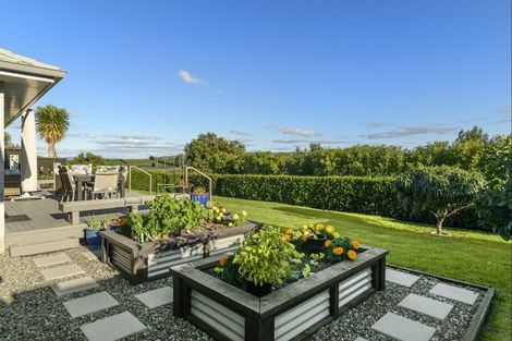 Photo of property in 12 Vantage Place, Omokoroa, 3114