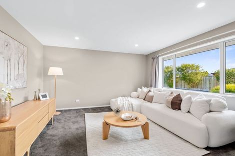 Photo of property in 40 Craig Thompson Drive, Lincoln, 7608