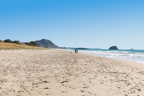 Photo of property in 115 Links Avenue, Mount Maunganui, 3116