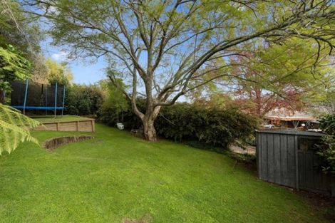 Photo of property in 11 Hall Road, Matua, Tauranga, 3110