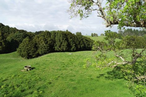 Photo of property in 41 Pinehill Road, Pakaraka, Kaikohe, 0472