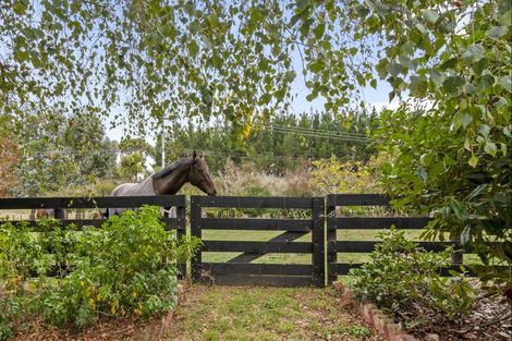 Photo of property in 21 Raumai Road, Bulls, 4894