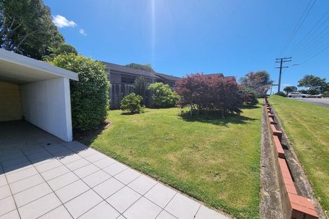 Photo of property in 102 Awanui Street, Merrilands, New Plymouth, 4312