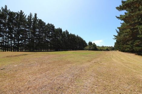 Photo of property in 331 Kaimaumau Road, Waiharara, Awanui, 0486