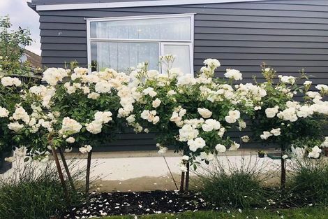 Photo of property in 16 Glynne Crescent, Spreydon, Christchurch, 8024