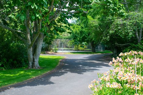 Photo of property in 109 Saint Leger Road, Te Awamutu, 3875