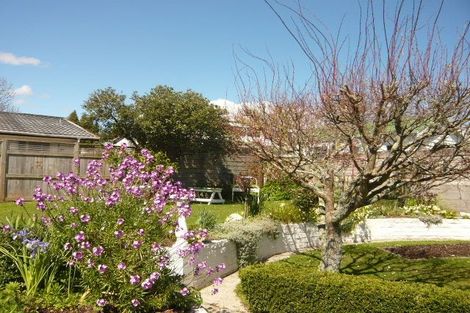 Photo of property in 3 Garnett Avenue, Forest Lake, Hamilton, 3200