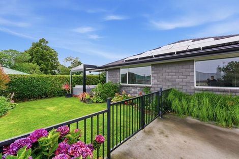 Photo of property in 9a Wicksteed Street, Vogeltown, New Plymouth, 4310