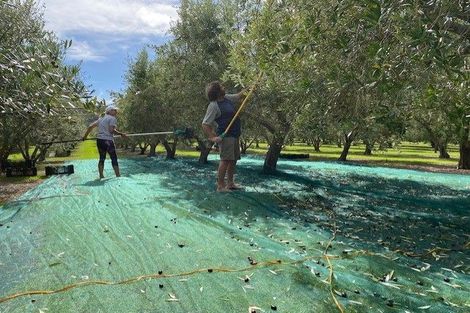 Photo of property in 478 Hihi Road, Hihi, Mangonui, 0494