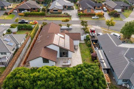 Photo of property in 24 Aleisha Place, Ohauiti, Tauranga, 3112