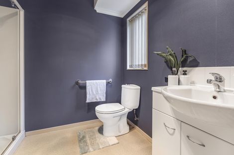 Photo of property in 16 Sequoia Place, Morrinsville, 3300