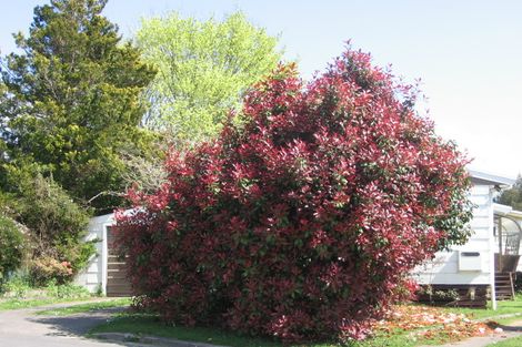 Photo of property in 183b Otonga Road, Springfield, Rotorua, 3015