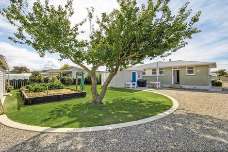 Photo of property in 113 Beach Street, Waikouaiti, 9510